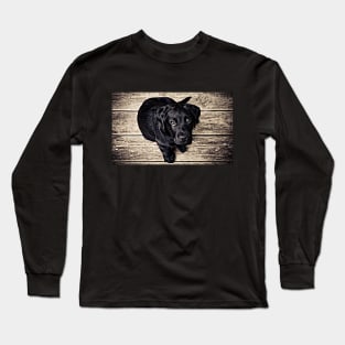 Wow! What A Beautiful Black Puppy Dog Long Sleeve T-Shirt